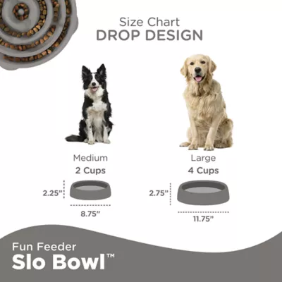 Product Outward Hound Fun Slow Feeder Dog Bowl