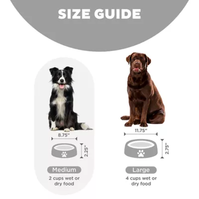 Product Outward Hound Fun Slow Feeder Dog Bowl