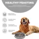 Product Outward Hound Fun Slow Feeder Dog Bowl