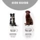 Product Outward Hound Fun Slow Feeder Dog Bowl
