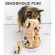 Product Outward Hound Hide A Squirrel Plush Dog Toy Puzzle