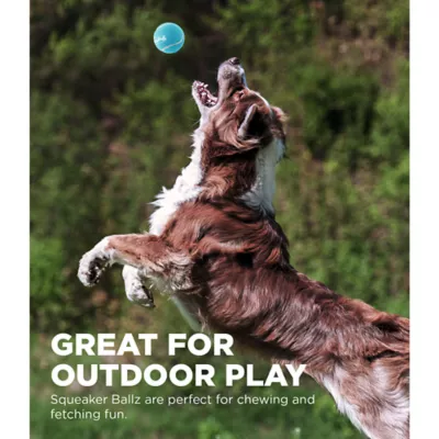 Product Outward Hound® Squeaker Ballz Dog Toy