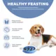 Product Outward Hound Fun Slow Feeder Dog Bowl