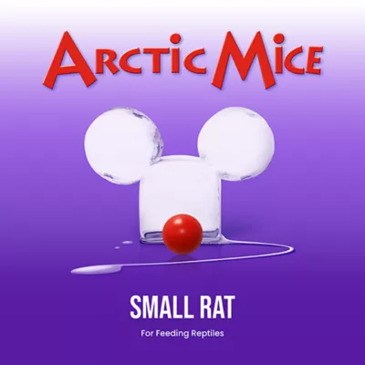Arctic Mice Frozen Small Rats - Image 1