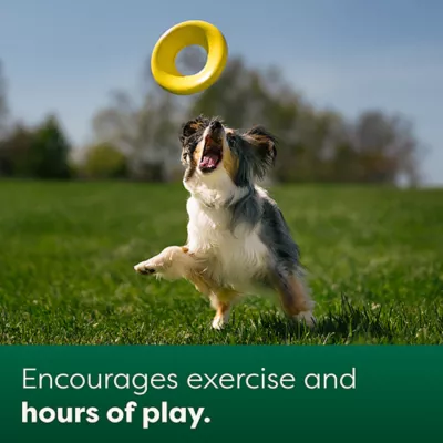 Product Earth Rated Fly Toy, Interactive Flying Disc Toy for Dogs, Floats in Water