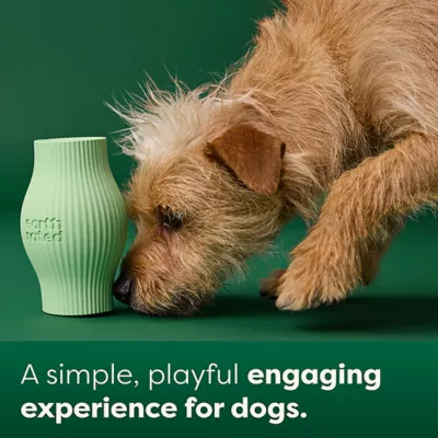 Product Earth Rated Treat Toy, Dog Enrichment Toy, Slow Feeder, Dishwasher and Freezer-Safe, Natural Rubber