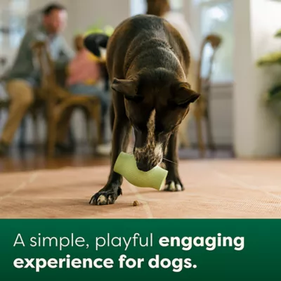 Product Earth Rated Treat Toy, Dog Enrichment Toy, Slow Feeder, Dishwasher and Freezer-Safe, Natural Rubber