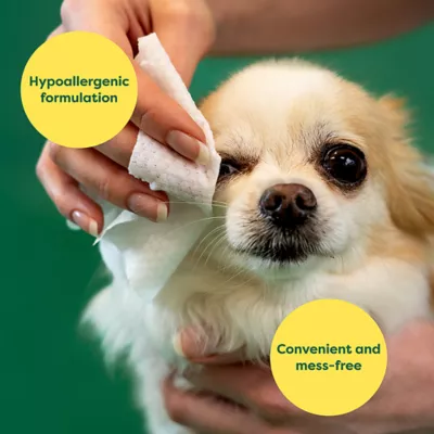 Product Earth Rated Hypoallergenic Eye Wipes For Dogs and Cats, Fragrance-Free,  60 Count