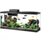 Product Aqueon Standard Glass Rectangle Aquarium