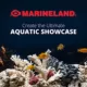 Product Marineland Open Glass Aquarium