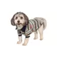 Product Max's Closet Designer Stripes Polo Red Green Dog Shirt