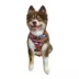 Hip Doggie Ultra Comfort Reflective Harness Vest image thumbnail 2
