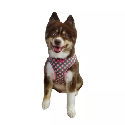 Hip Doggie Ultra Comfort Reflective Harness Vest - Image 2