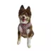 Hip Doggie Ultra Comfort Reflective Harness Vest image thumbnail 2