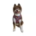 Hip Doggie Ultra Comfort Reflective Harness Vest image thumbnail 2