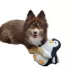 Barker's Bowtique Wildlife Polly the Penguin Dog Toy image thumbnail 2