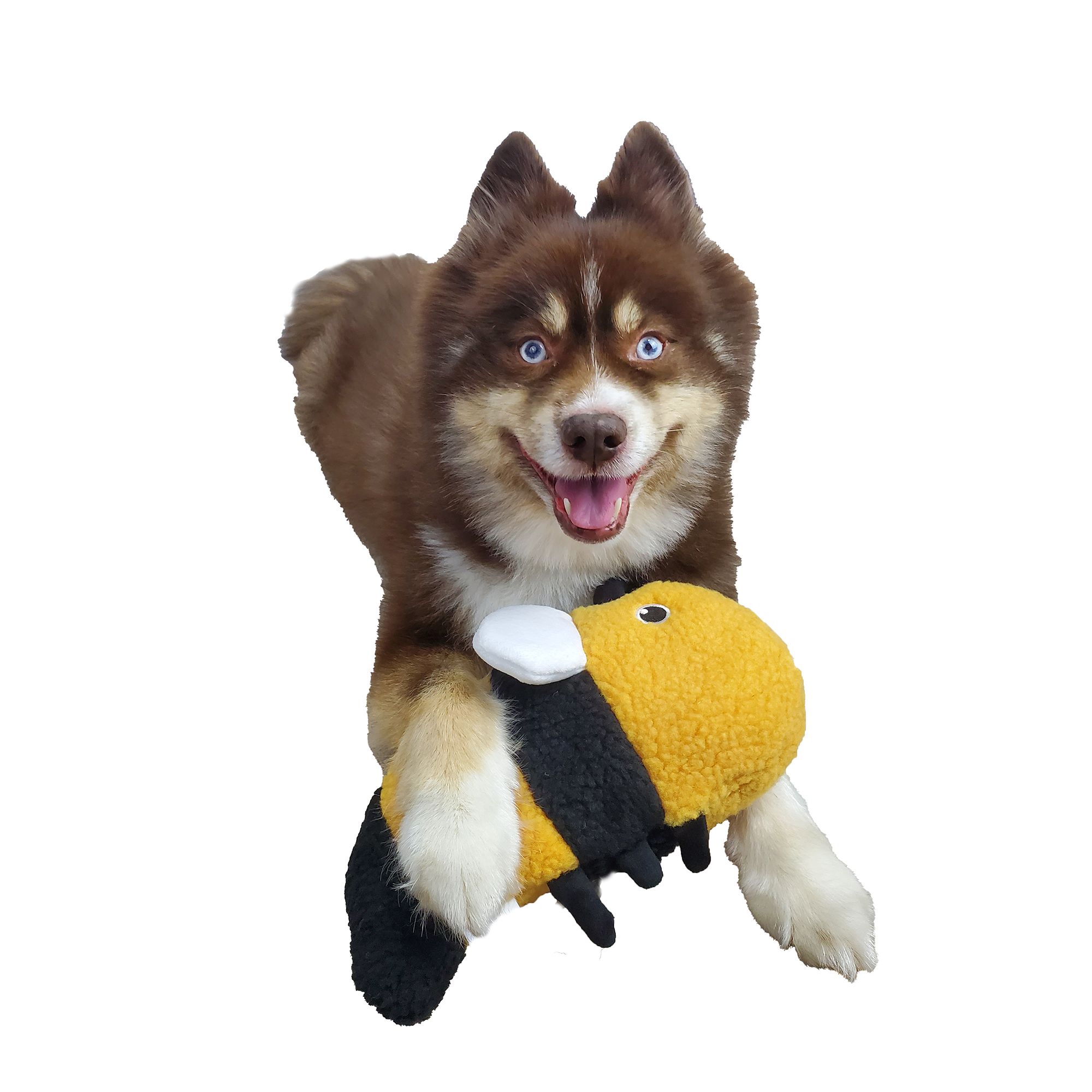Bumble dog toy sale
