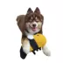 Barker's Bowtique Wildlife Bobby Bumble Bee Dog Toy image thumbnail 2