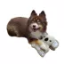 Barker's Bowtique Wildlife Kiki Koala Dog Toy image thumbnail 2