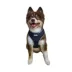 Hip Doggie Ultra Comfort Reflective Harness Vest image thumbnail 2