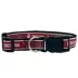 Pets First NCAA Indiana Satin Dog Collar image thumbnail 1