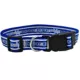 Product Pets First Kentucky Wildcats Satin Dog Collar