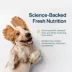 JustFoodForDogs All Life Stages Frozen Dog Food - Chicken & White Rice image thumbnail 2