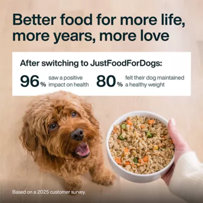 JustFoodForDogs Adult Frozen Dog Food - Beef & Russet Potato, Grain Free - Image 6