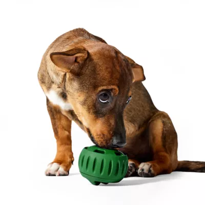 Product WOOF Pupsicle Treat Dispensing Dog Toy, Green