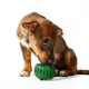 Product WOOF Pupsicle Treat Dispensing Dog Toy, Green