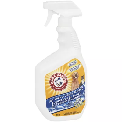 Product Arm & Hammer Pet Stain & Odour Remover