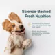 Product JustFoodForDogs All Life Stages Frozen Dog Food - Chicken & White Rice