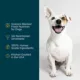 Product JustFoodForDogs All Life Stages Frozen Dog Food - Chicken & White Rice