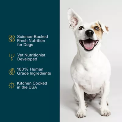 Product JustFoodForDogs Adult Frozen Dog Food - Beef & Russet Potato, Grain Free