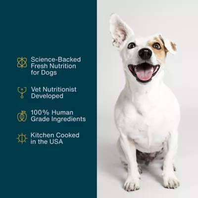 Product JustFoodForDogs Adult Frozen Dog Food - Turkey & Whole Wheat Macaroni