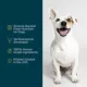 Product JustFoodForDogs Adult Frozen Dog Food - Turkey & Whole Wheat Macaroni