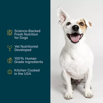 Product JustFoodForDogs All Life Stages Frozen Dog Food - Fish & Sweet Potato, Grain Free