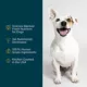 Product JustFoodForDogs All Life Stages Frozen Dog Food - Fish & Sweet Potato, Grain Free