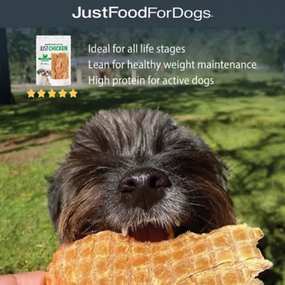 Product JustFoodForDogs Just Chicken Single Ingredient Chicken Breast All Life Stages Dog Treats