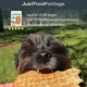 Product JustFoodForDogs Just Chicken Single Ingredient Chicken Breast All Life Stages Dog Treats