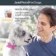 Product JustFoodForDogs Just Pork Single Ingredient All Life Stages Dog Treats
