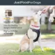 Product JustFoodForDogs Just Venison Single Ingredient All Life Stages Dog Treats