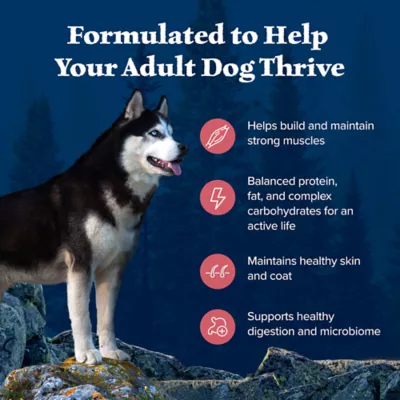 Product Blue Buffalo Wilderness Nature's Evolutionary Diet Adult Dog Dry Food - Grain Free, Salmon