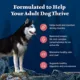 Product Blue Buffalo Wilderness Nature's Evolutionary Diet Adult Dog Dry Food - Grain Free, Salmon