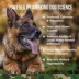 Operation Good Boy Calming Health Supplement for Dogs image thumbnail 2