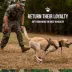 Operation Good Boy Calming Health Supplement for Dogs image thumbnail 6
