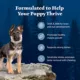 Product Blue Buffalo Wilderness Nature's Evolutionary Diet Puppy Dry Dog Food - Grain Free, Chicken