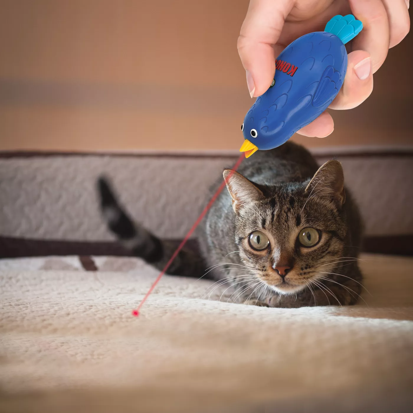 KONG Laser Chirps Bird Toy