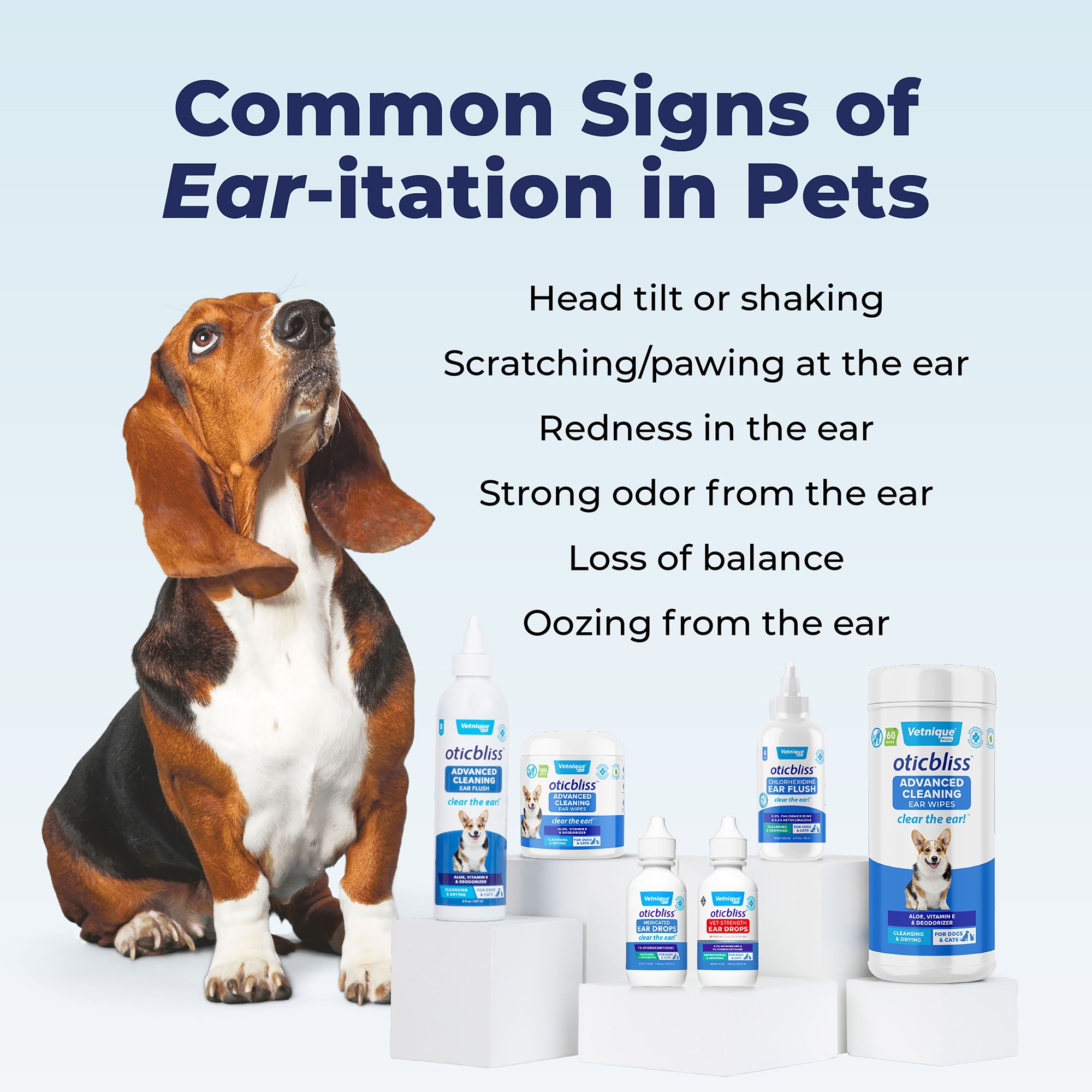 Basset hound ear infection home remedy best sale