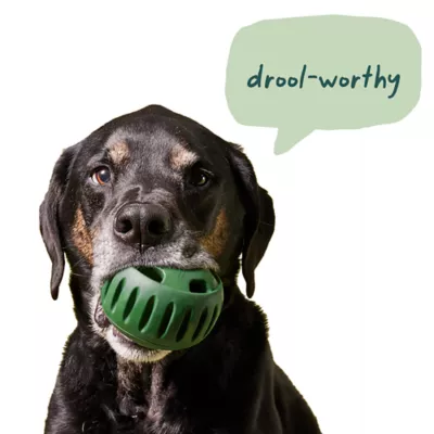 Product WOOF Pupsicle Refill Pops: Peanut Butter and Chicken Recipe